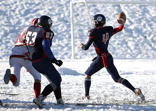 到温暖的体 到温暖的体