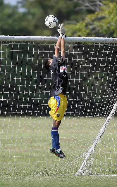 除了技术和 除了技术和