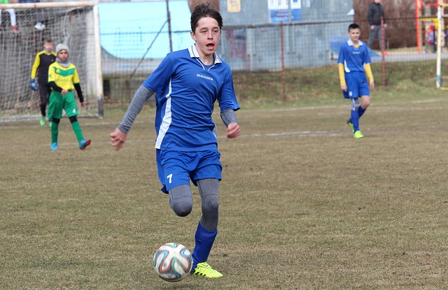 新東家之一 新東家之一