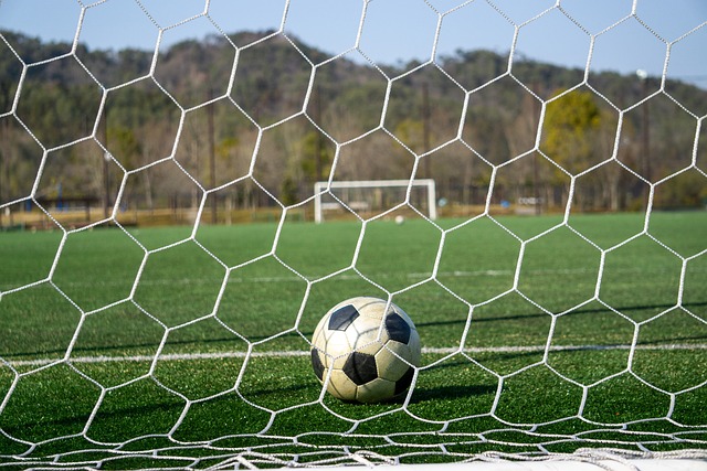 奖增添砝码 奖增添砝码